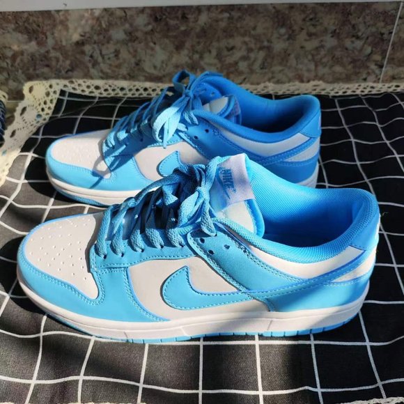 Nike Low Dunk Blue and White Sneakers